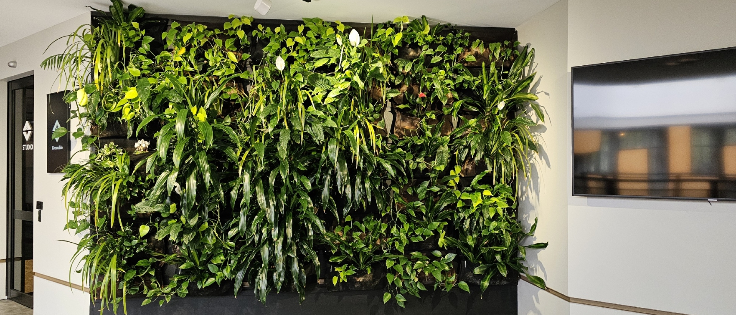 Greenwall